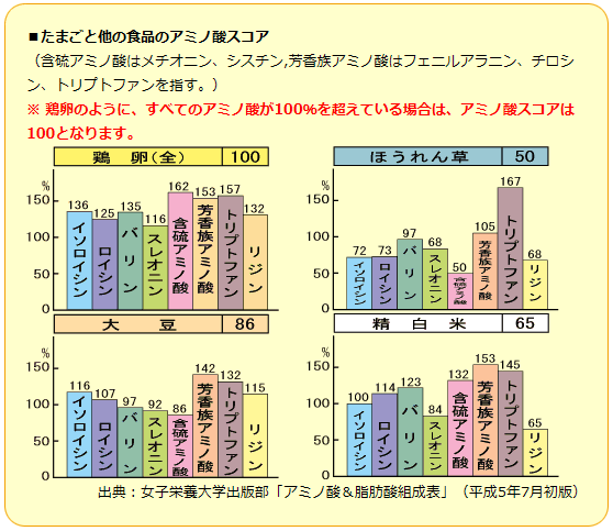 日本養鶏協会_アミノ酸_たまご