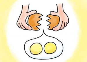 たまご_卵2つ_大分